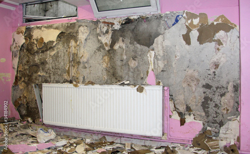 Photo: water damaged and moldy ruin old water damaged and moldy ruin old