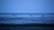 Fishermen at night