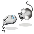 mouse e topo