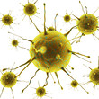 Virus isolated