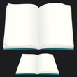 Blank Book