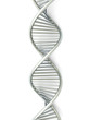 DNA Strang