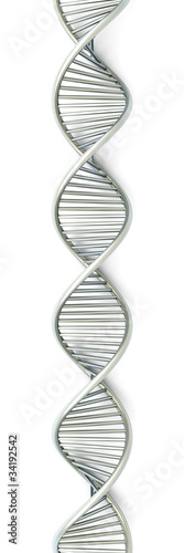 Illustration: DNA Strang DNA Strang