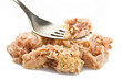 tuna fish