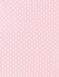 tulle plumetis dentelle
