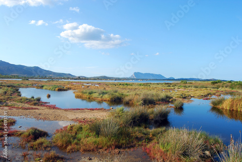 Foto: Landscape at sunset in Sardinia - Italy Landscape at sunset in Sardinia - Italy
