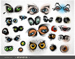 Vector set of eyes
