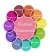 Human Resources illustration