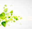 Leaf abstract background