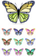 set of colorful butterfly isolated on white background