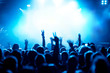 Jubelnde Konzertbesucher auf Rock-Konzert