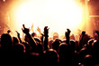 Jubelnde Konzertbesucher auf Rock-Konzert