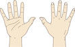hand