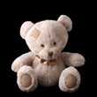 teddy bear on a black background. teddy bear on a black background.