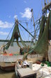 Guyane - Crevttiers