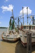 Guyane - Crevttiers