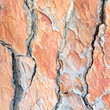 pine bark