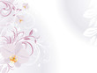 Orchids with decorative sprigs. Background for card Orchids with decorative sprigs. Background for card