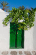 Green door and branches of grapes in the sky.