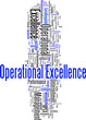 Operational Excellence