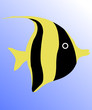 fish under water - vector