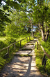 Photo: Waldweg Waldweg