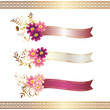 Cosmos With Ribbon