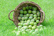 prunes
