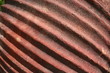 Abstract Textured Background Abstract Textured Background