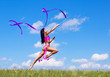 jumping woman