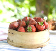 strawberry from garden strawberry from garden