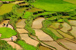 Indonesia, Sulawesi, Tana Toraja, Rice terraces