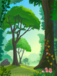 AMAZON FOREST TREES AMAZON FOREST TREES