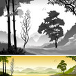 ASIAN RAIN FOREST ASIAN RAIN FOREST