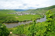 Trittenheim an der Mosel