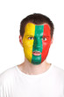 Lithuania basketball fan