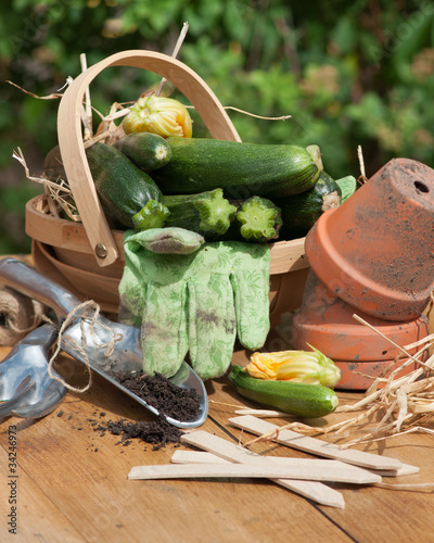 Photo: Courgette Basket With Garden Tools Courgette Basket With Garden Tools
