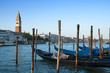 Gondolas and St Mark's Campanile, Venice, Italy