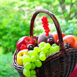 Obstkorb