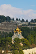 Mount of Olives, Jerusalem Mount of Olives, Jerusalem