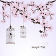 Photo en ligne au meilleur prix vintage floral background with a birds and cages