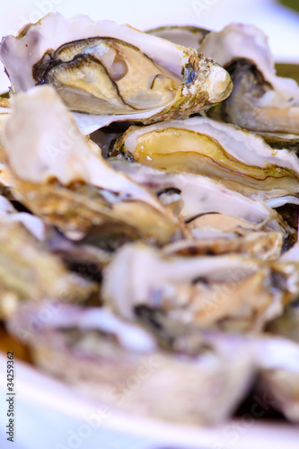Photo: huitres huitres