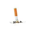 Extinguished cigarette. Extinguished cigarette.