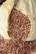 Huile d'argan_10