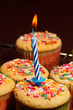 Birthday Cupcake