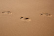 footprints