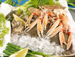 Seafood