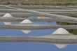 Tas de sel dans un marai Tas de sel dans un marai