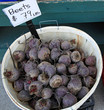 bushel of beets for sale at farmer's market bushel of beets for sale at farmer's market
