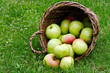 pomme